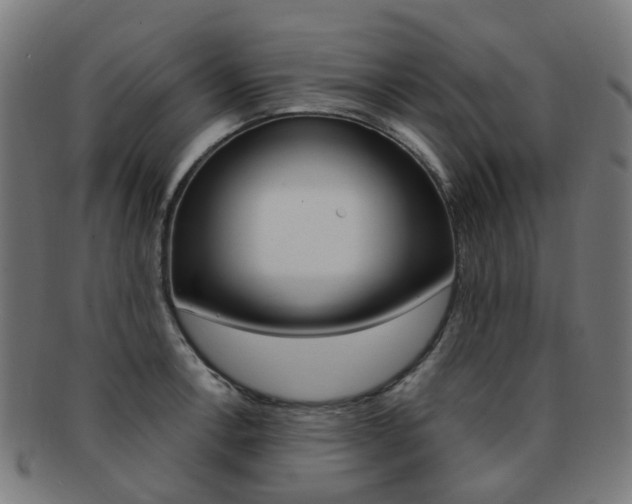 X0000092031138200709061345