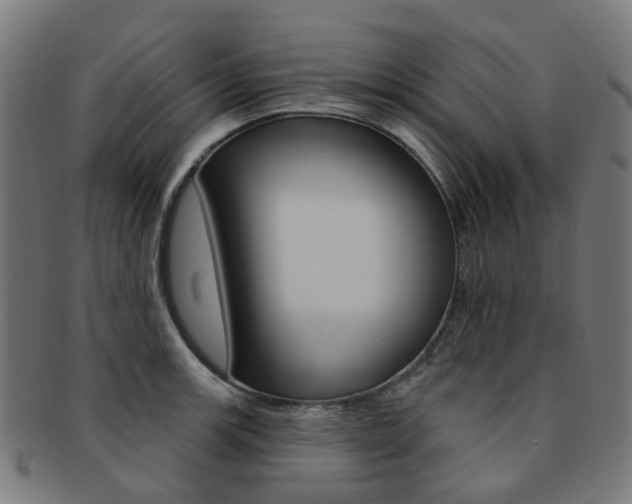 X0000092031139200709061345