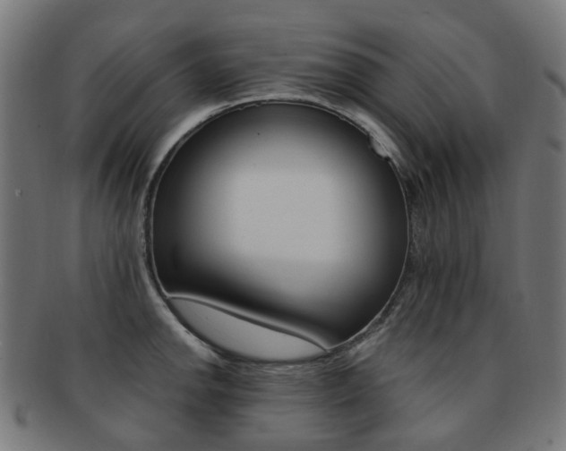 X0000092031142200709061345