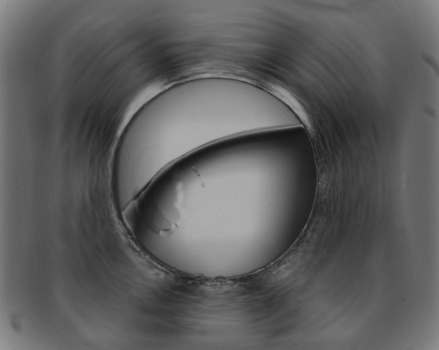 X0000092031146200709061345