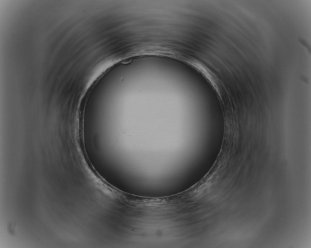X0000092031147200709061345