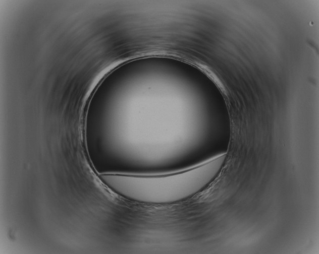 X0000092031148200709061345