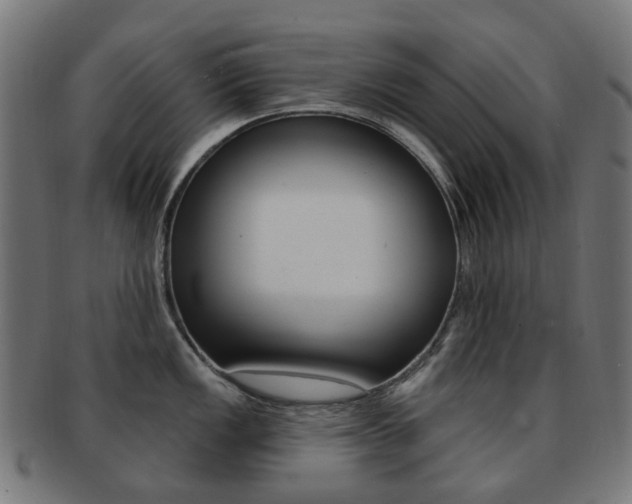 X0000092031149200709061346