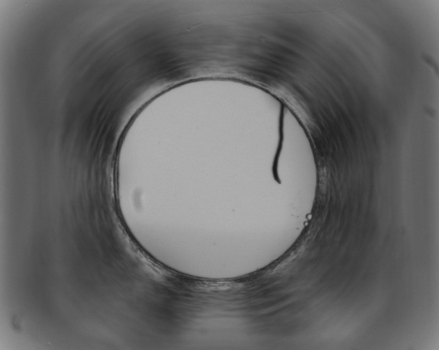 X0000092031150200709061346