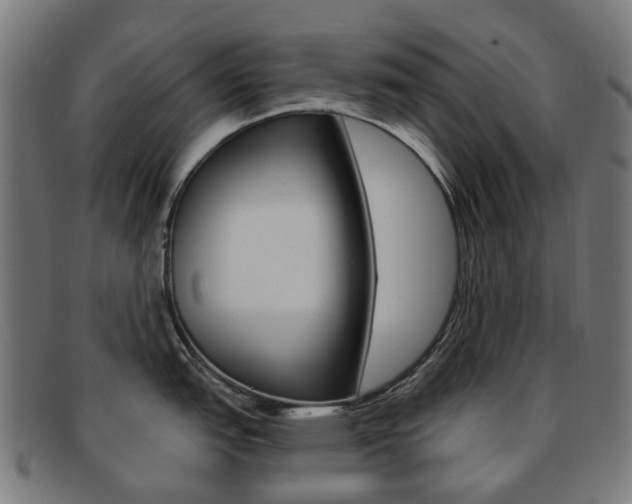 X0000092031151200709061346