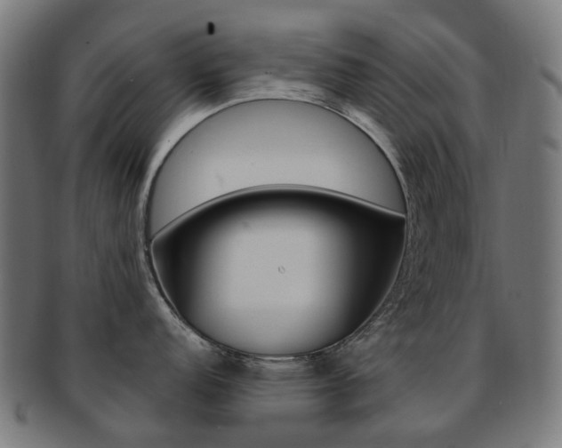 X0000092031152200709061346