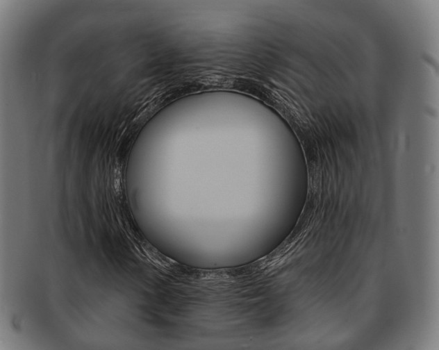 X0000092031154200709061345