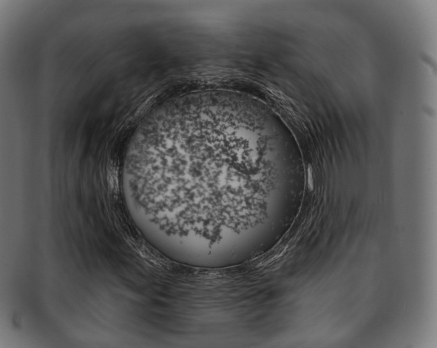X0000092031155200709061345