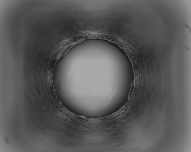 X0000092031157200709061345
