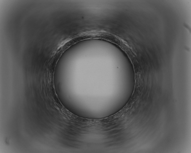 X0000092031158200709061345