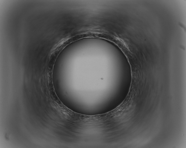 X0000092031159200709061345