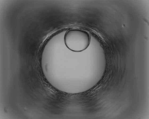 X0000092031160200709061345