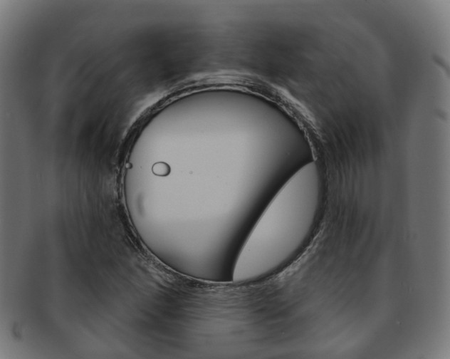 X0000092031166200709061345