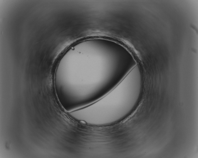X0000092031167200709061345