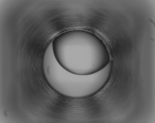 X0000092031169200709061345