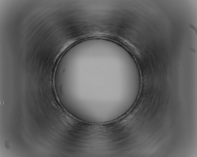 X0000092031170200709061345