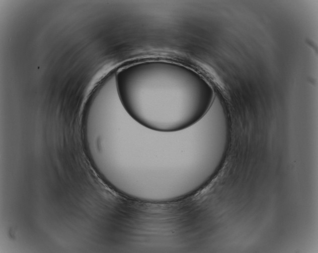 X0000092031172200709061345