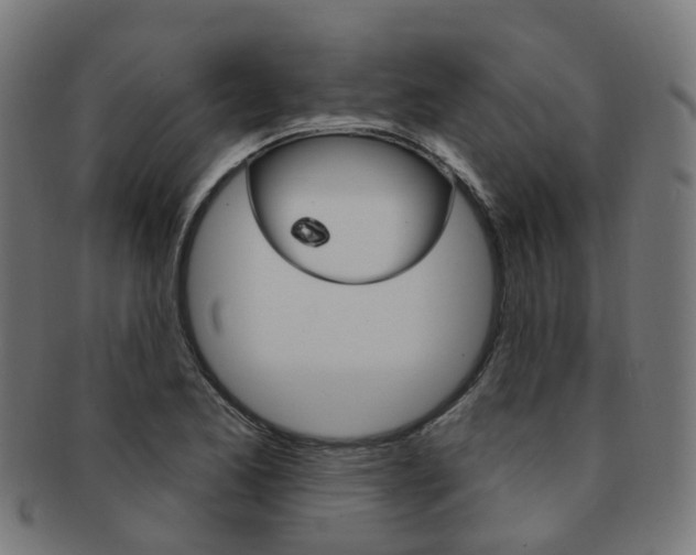 X0000092031173200709061345