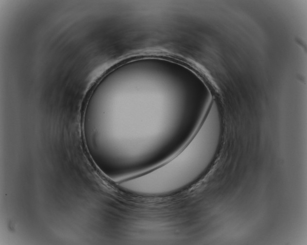 X0000092031176200709061345
