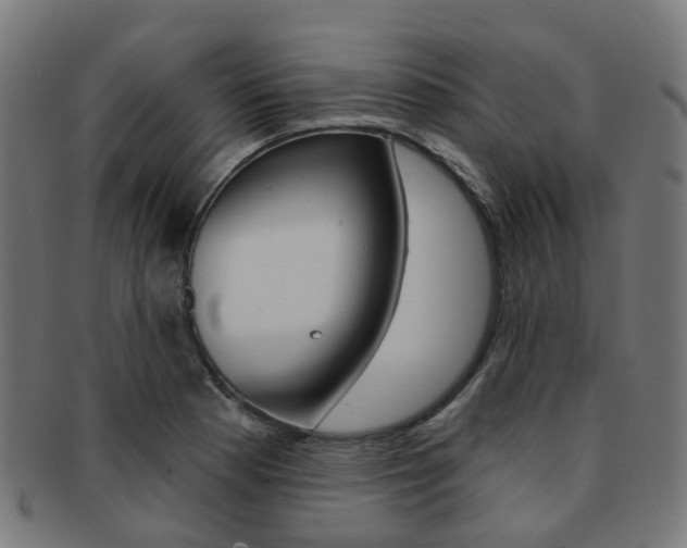 X0000092031177200709061345