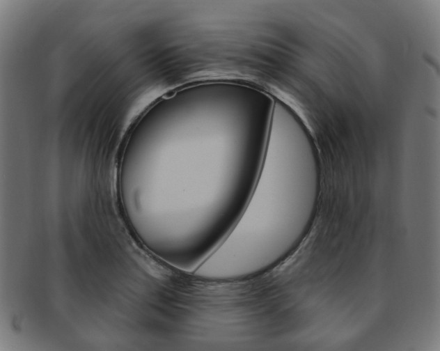 X0000092031179200709061345