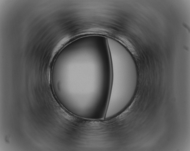 X0000092031180200709061345