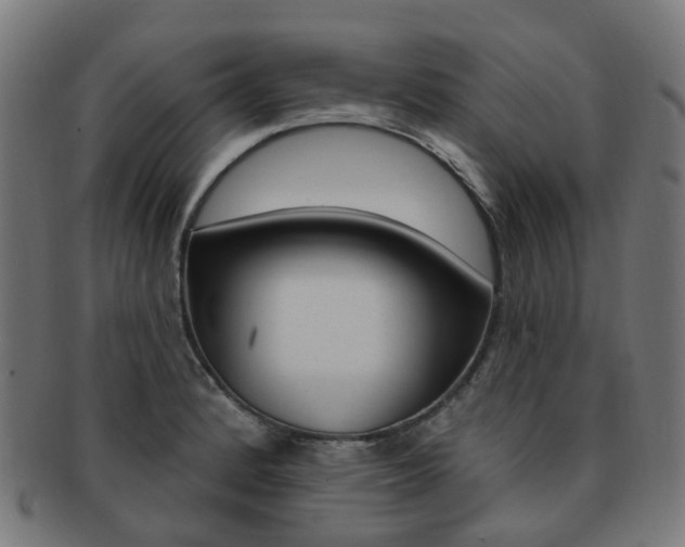 X0000092031184200709061345