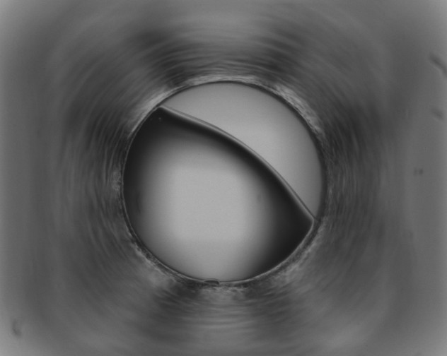 X0000092031185200709061345