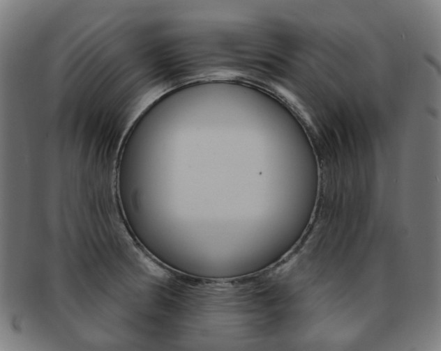 X0000092031186200709061345