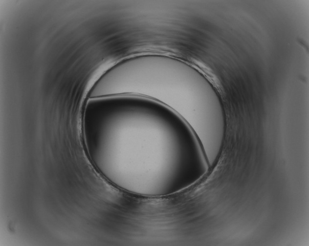 X0000092031188200709061345