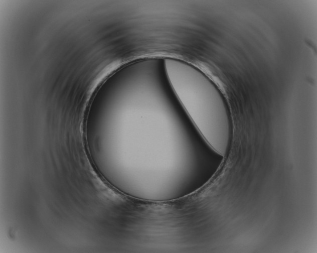 X0000092031189200709061345
