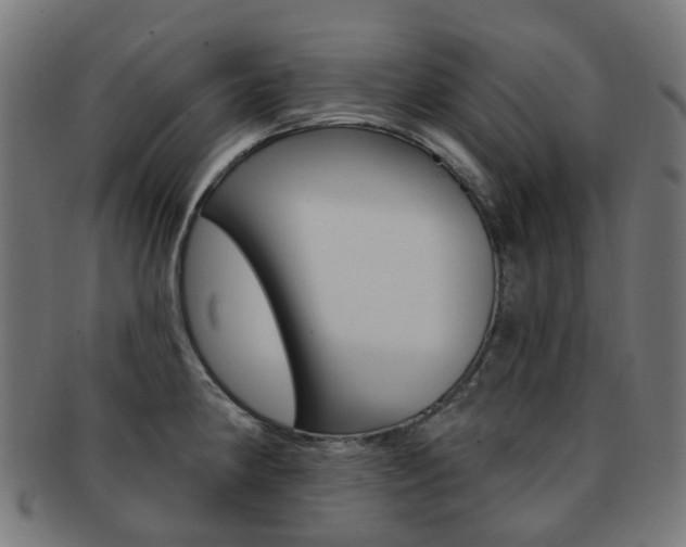X0000092031190200709061345