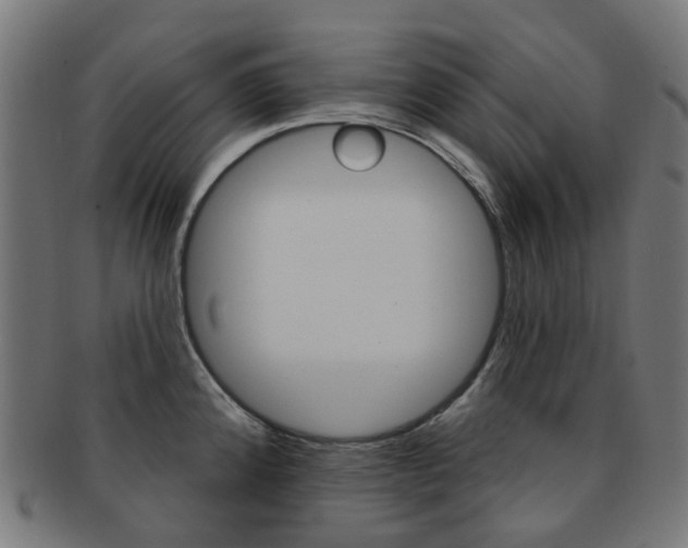 X0000092031192200709061345