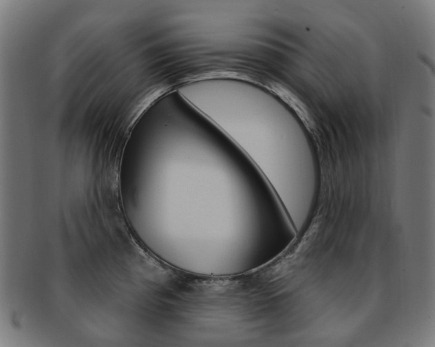 X0000092031193200709061345