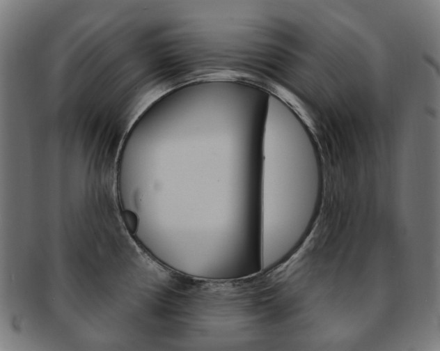 X0000092031194200709061344