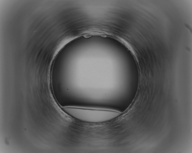 X0000092031195200709061344