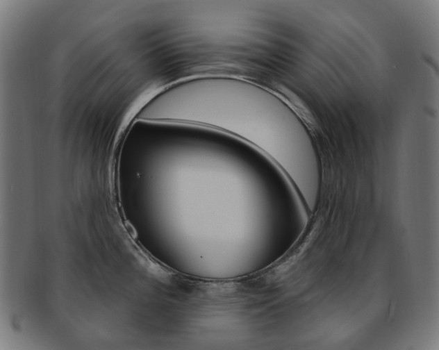 X0000092031196200709061344