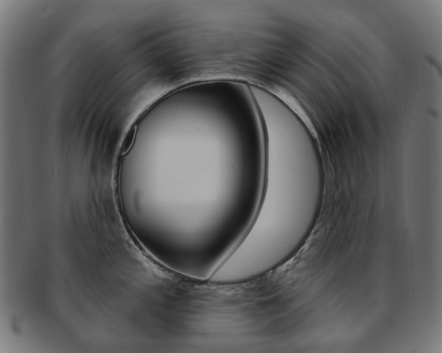 X0000092031197200709061344