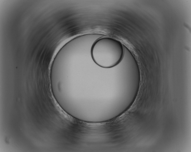 X0000092031200200709061344