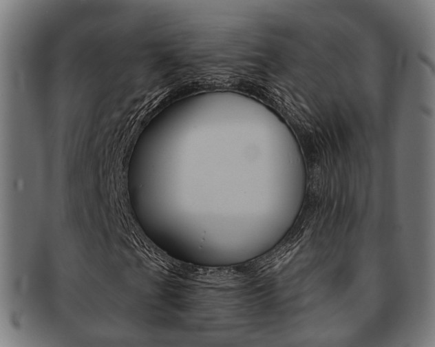 X0000092031201200709061344