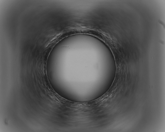X0000092031205200709061344
