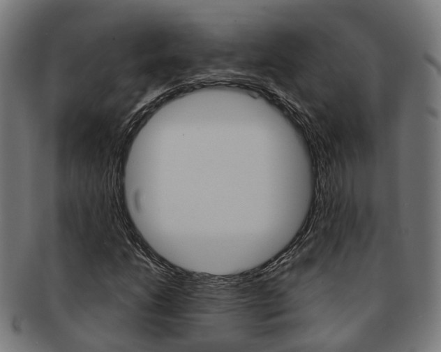 X0000092031206200709061344