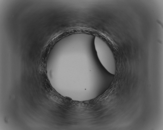 X0000092031207200709061344