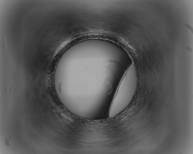 X0000092031208200709061344