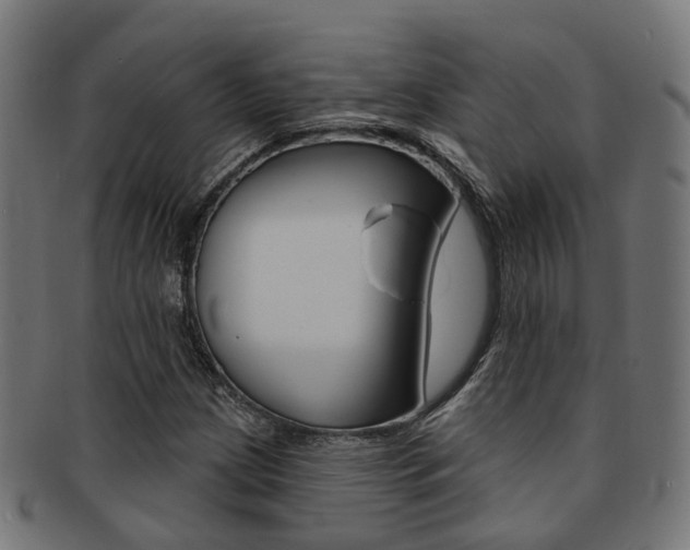 X0000092031209200709061344