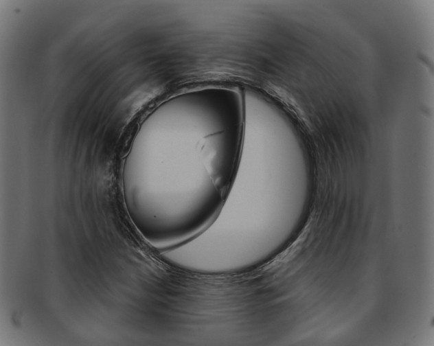 X0000092031210200709061344