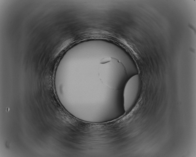 X0000092031211200709061344