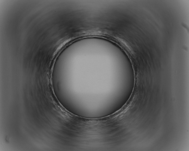 X0000092031212200709061344