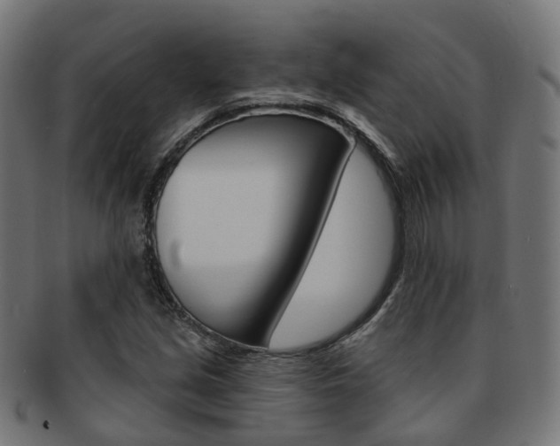 X0000092031213200709061344