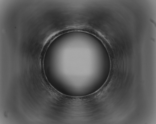 X0000092031214200709061344